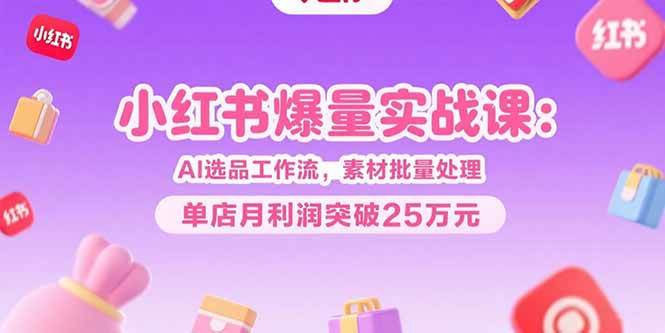 （15462期）小红书爆量实战课：AI选品工作流，素材批量处理，单店月利润突破25万元-中创项目网