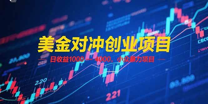 （15187期）美金对冲创业项目，日收益 1000 – 4000，小众暴力项目-中创项目网
