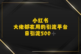 小红书，大佬都在用的大粉平台，日引流500+-中创项目网