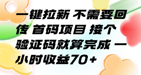 一键拉新 不需要回传 首码项目 接个验证码就算完成 一小时收益70+【揭秘】-中创项目网