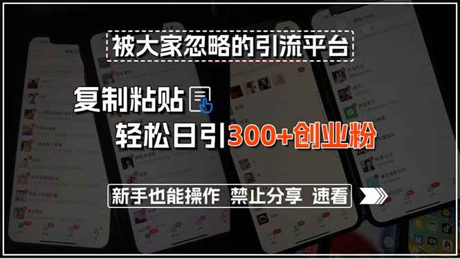 （15428期）被大家忽略的引流平台，复制粘贴轻松日引300+创业粉，新手也能操作，禁…-中创项目网