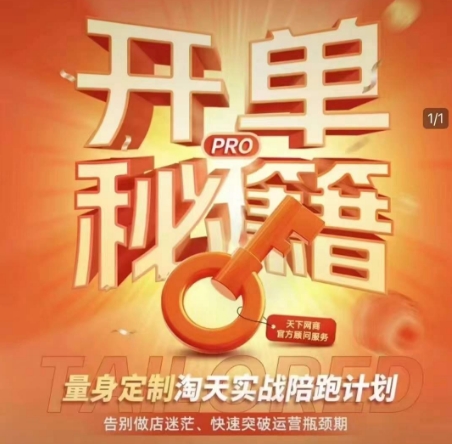 淘宝开单秘籍PRO，量身定制淘天实战陪跑计划，告别做店迷茫、快速突破运营瓶颈期（更新6月）-中创项目网