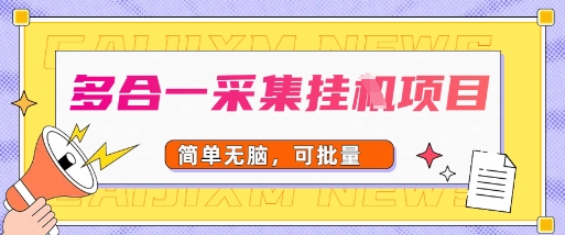 多合一采集项目，无脑操作，简单批量-中创项目网