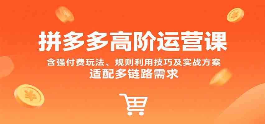 拼多多高阶运营课，含强付费玩法、规则利用技巧及实战方案，适配多链路需求-中创项目网