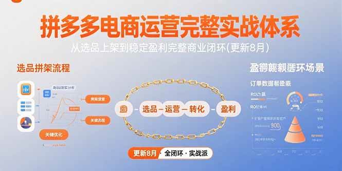 （15579期）拼多多电商运营完整实战体系，从选品上架到稳定盈利完整商业闭环(更新8月)-中创项目网