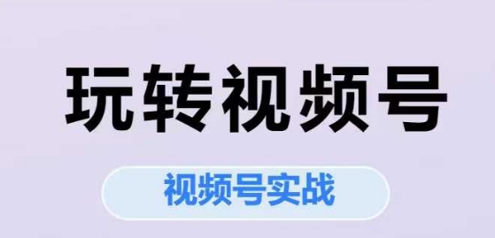 玩转视频号，视频号实战系列课-中创项目网