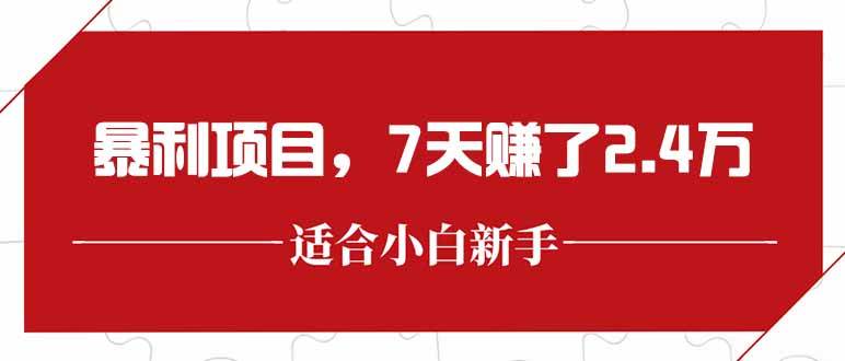 （15228期）最新暴利项目，每单收益轻松在300以上，7天赚了2.4万-中创项目网
