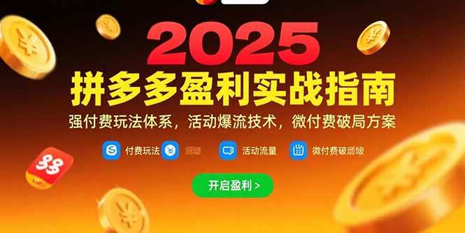 （15357期）拼多多盈利实战指南，强付费玩法，活动爆流技术，微付费破局方案(更新7月)-中创项目网
