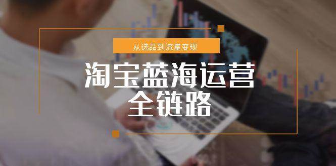 （15160期）淘宝蓝海运营全链路，从选品到流量变现，小类目突围完整方案-中创项目网