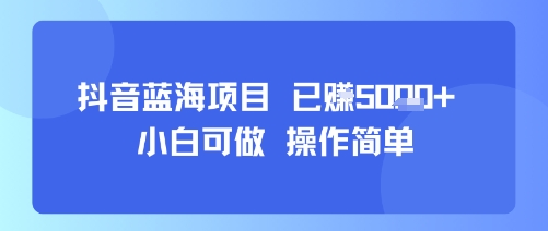 抖音蓝海项目，小白可做，操作简单，可批量制作，已挣5k+-中创项目网