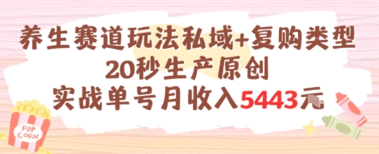 养生赛道玩法私域+复购类型，20秒生产原创实战单号月收入5k+-中创项目网