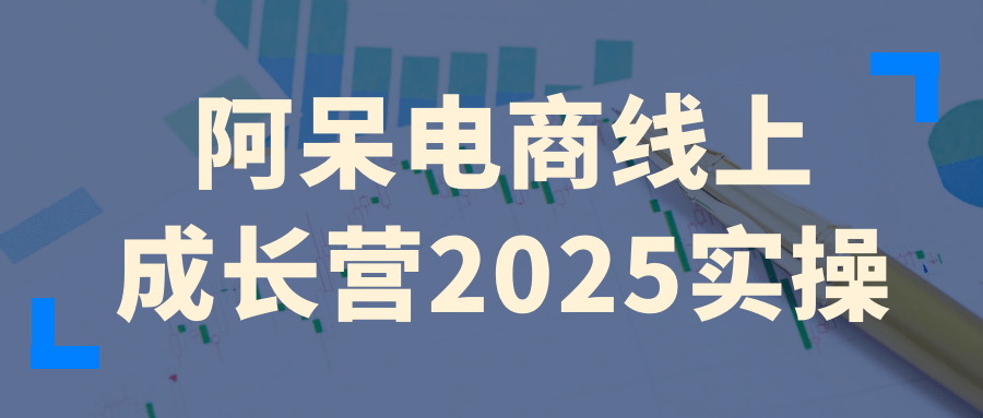 阿呆电商线上成长营2025实操-中创项目网