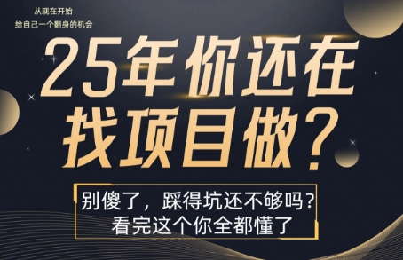 25年，你还在疯狂的找项目吗？别傻了，看完这个你都懂了【揭秘】-中创项目网