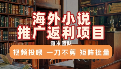 海外小说推广返利项目，视频投喂， 一刀不剪，矩阵批量-中创项目网