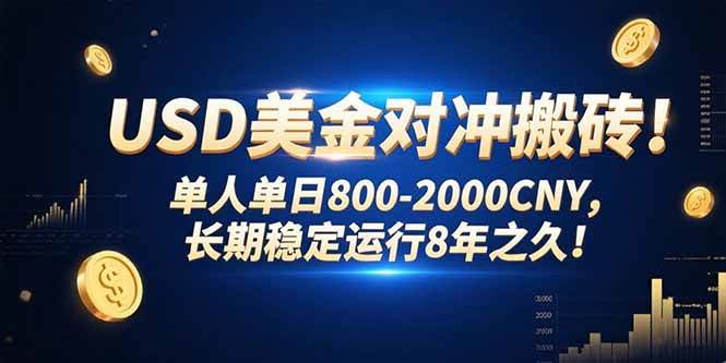（15551期）USD美金对冲搬砖!单人单日800-2000CNY，长期稳定运行8年之久!-中创项目网