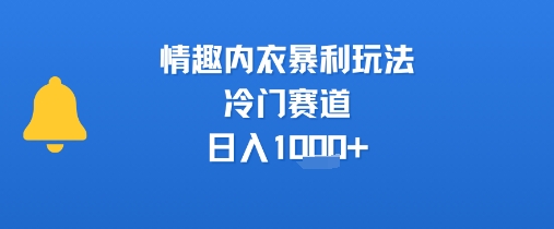 情趣内衣暴利玩法，冷门赛道，日入1k+-中创项目网