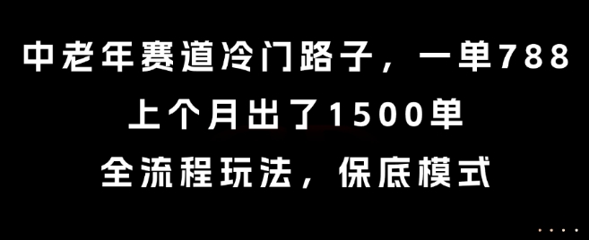 中老年赛道冷门路子，一单788，上个月出了1500单，全流程玩法，保底模式【揭秘】-中创项目网