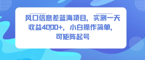 风口信息差蓝海项目，实测一天收益4k+，小白操作简单，可矩阵起号-中创项目网