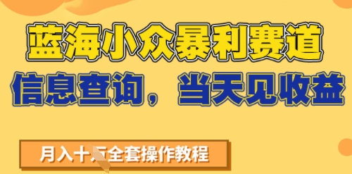 蓝海小众暴利赛道，信息查询，当天见收益，不讲玄学，7天搞了2W+-中创项目网