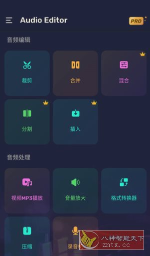 Audio Editor Pro Pro音频编辑器v1.01.72.0623专业版-中创项目网