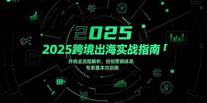 （15503期）2025跨境出海实战指南，并购全流程解析，自创营销体系，专家基本功训练-中创项目网