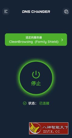 DNS Changer Pro DNS服务器v2.8.1高级版-中创项目网