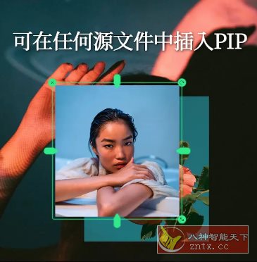 VLLO视频编辑器 v12.8.0高级版-中创项目网