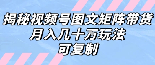 解密视频号图文矩阵带货，月入几个W的打法，可复制-中创项目网