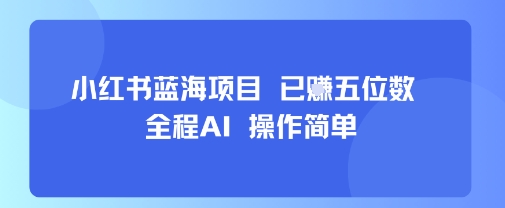 小红书蓝海项目，全程AI，操作简单，已挣五位数-中创项目网