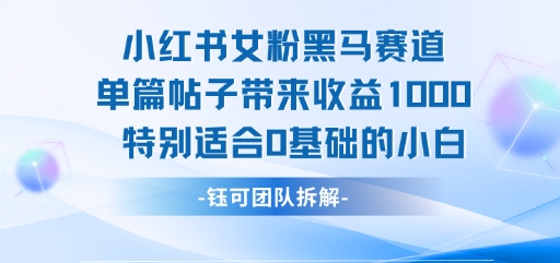小红书女粉黑马赛道单篇帖子带来收益1k+，特别适合0基础的小白-中创项目网
