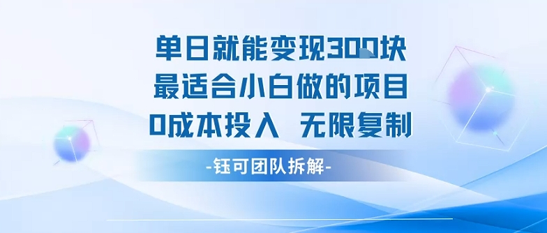 单日就能变现3张最适合小白做的项目0成本投入 无限复制-中创项目网