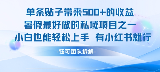 单条贴子带来5张的收益，暑假最好做的私域项目之一，小白也能轻松上手，有小红书就行-中创项目网
