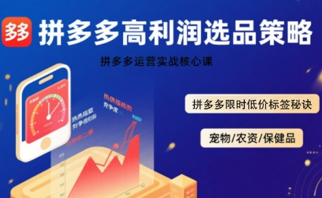 拼多多选品暴利技术实战课，拼多多高利润选品策略，拼多多限时低价标签秘诀-中创项目网