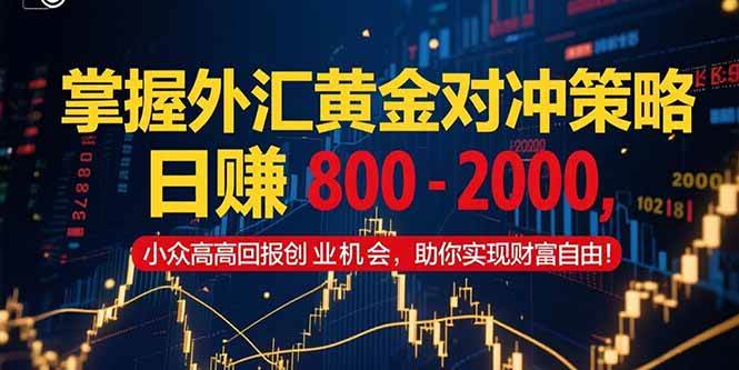 （15198期）掌握外汇黄金对冲策略，日赚 800 – 2000，小众高回报创业机会，助你实…-中创项目网