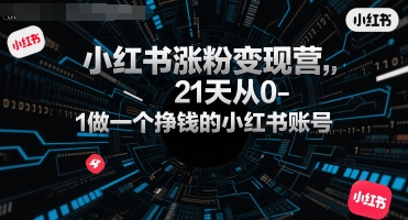 小红书涨粉变现营，21天从0-1做一个挣钱的小红书账号-中创项目网