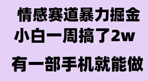 情感暴力掘金项目，新人操作一周挣了2W，长期稳定小白可做【揭秘】-中创项目网