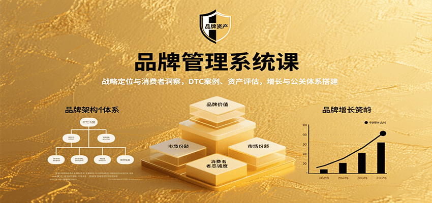 品牌管理系统课：战略定位与消费者洞察，DTC案例、资产评估，增长与公关体系搭建-中创项目网