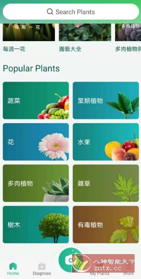 PictureThis 植物识别v5.11.0专业版-中创项目网