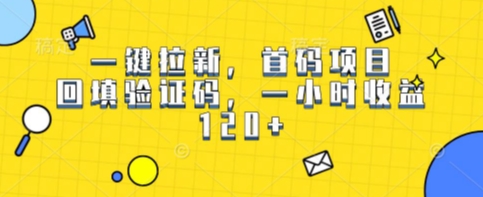 一键拉新，首码项目，回填验证码，一小时收益1张-中创项目网