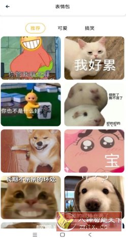 趣美壁纸大全 v1.1纯净版-中创项目网