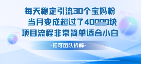 每天稳定引流30个人 当月变成超过了4个W项目流程非常简单适合小白-中创项目网
