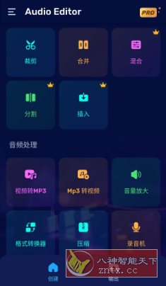 Audio Editor音频编辑 v1.01.72.0623专业版-中创项目网