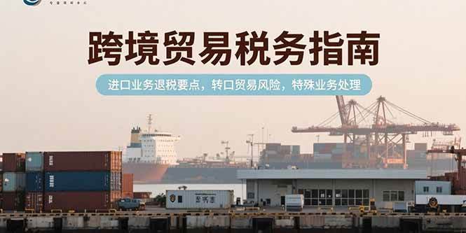 （15381期）跨境贸易税务指南，进口业务退税要点，转口贸易风险，特殊业务处理-中创项目网
