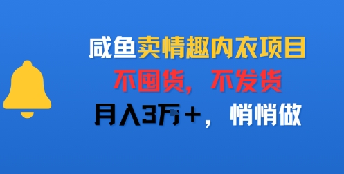 咸鱼卖情趣内衣项目，不囤货，不发货，月入3W+，悄悄做-中创项目网
