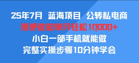 25年7月蓝海项目，公转私电商，随便做做单月轻松1w，小白一部手机就能做，完整实操步骤10分钟学会-中创项目网