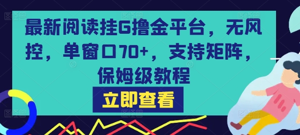 最新阅读挂G撸金平台，无风控，单窗口70+，支持矩阵，保姆级教程【揭秘】-中创项目网