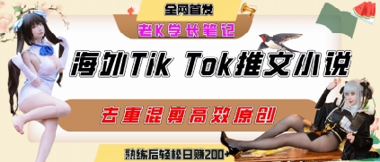 海外tiktok小说推文暴力项目，高停留率，高转化率，上手后一天搞顿饭钱不是问题-中创项目网