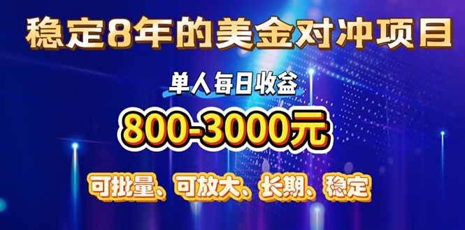 （15782期）稳定8年的美金对冲创业项目，单人每日收益800-3000，小众暴力项目-中创项目网