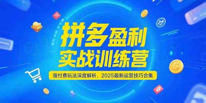 拼多多盈利实战训练营，强付费玩法深度解析，2025最新运营技巧合集-中创项目网