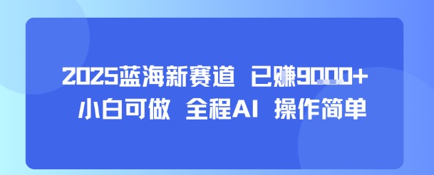 2025蓝海新赛道 已挣9k+ 小白可做 全程AI 操作简单-中创项目网